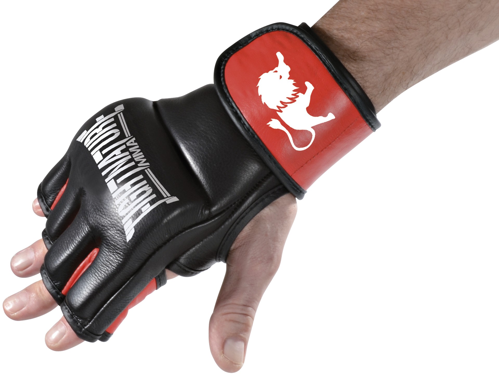 FIGHTNATURE MMA Gants cuir