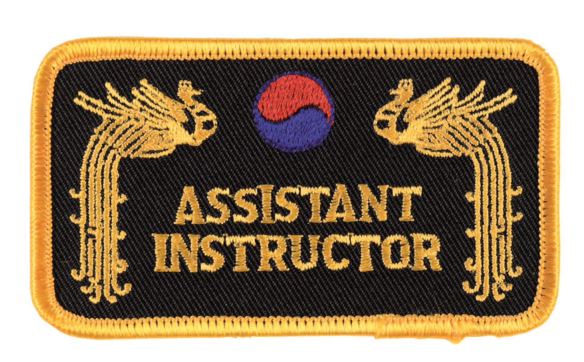 DANRHO Insignes Brodes Assistant Instructor