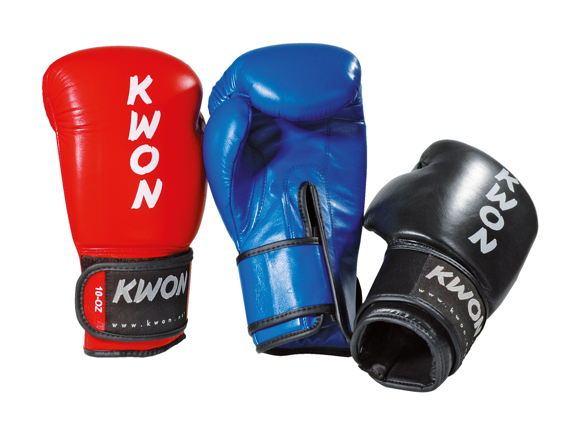 Gants de boxe Ergo Champ